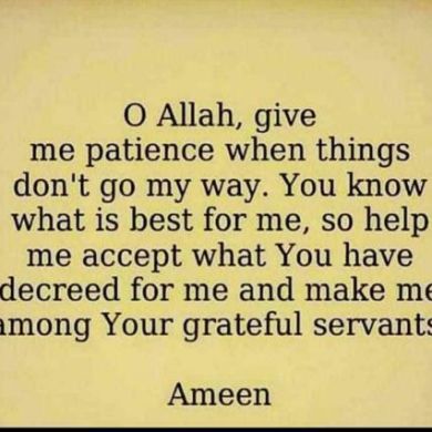 Fetu Kedir Profile Picture