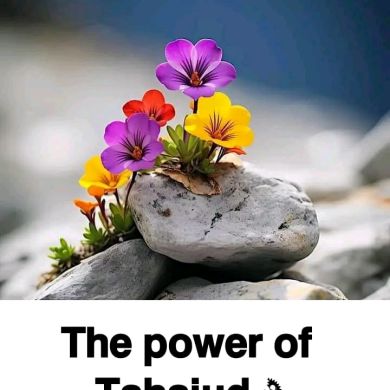 Abdi Jima Profile Picture