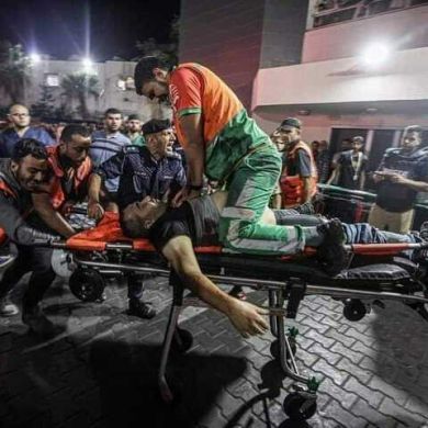 mohamed abdelgelil Profile Picture