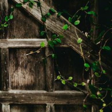 عبق الكتب Profile Picture