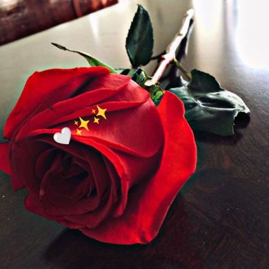 Hani Keyri Mohammed profile picture