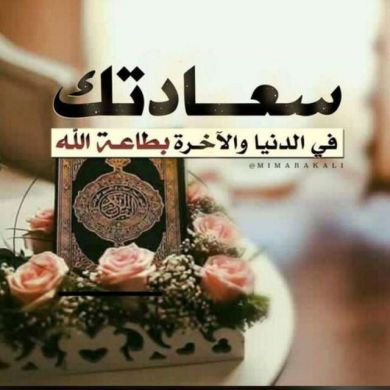 Sualiha Amin Profile Picture