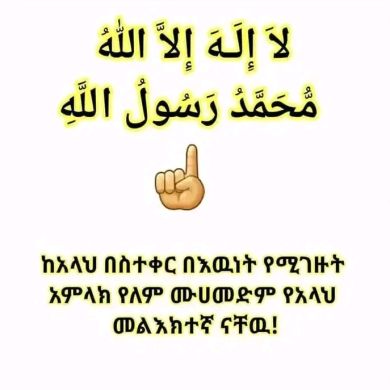 sadam suleyman Profile Picture