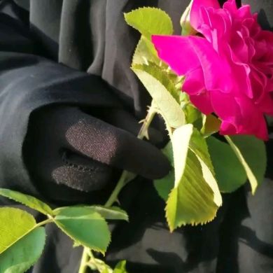 هبة الله Profile Picture