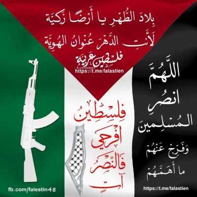 عبد الجليل إمام Profile Picture