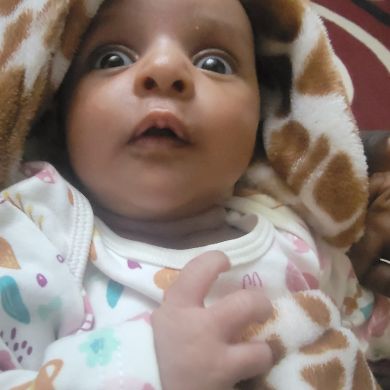 mohamednur babeker Profile Picture