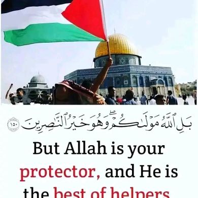 Dinsefa Temam Profile Picture