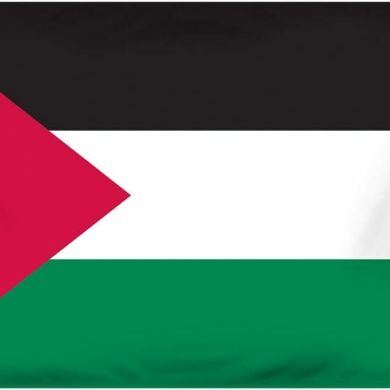 Seid Hassen profile picture