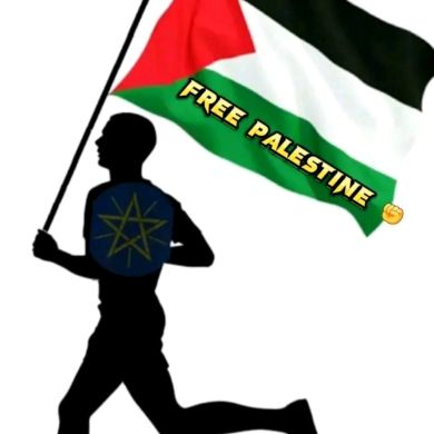 mohammed liyu Profile Picture