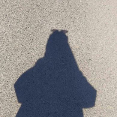 ٱٱ فيونڪا Profile Picture