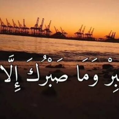 maryam hussen Profile Picture