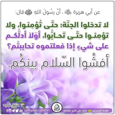 Mohammed Omer Profile Picture