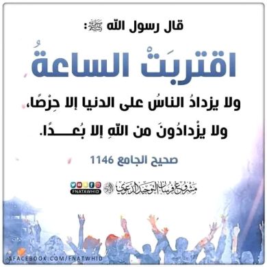 أبو محمد شفاء Profile Picture