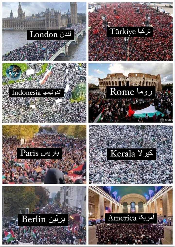 From worldwide  FOR ፧፧፦፦    🇵🇸🇵🇸🇵🇸🇵🇸🇵🇸🇵🇸  ❤❤❤❤❤❤.. | muhimud