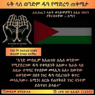 rebik mohammed profile picture