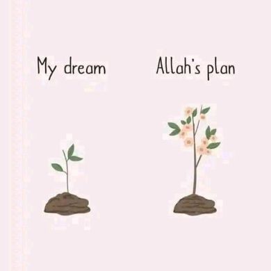 Fetia Muhammed Profile Picture