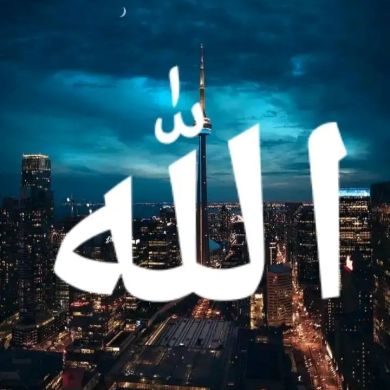 Alhamdu kemal Profile Picture