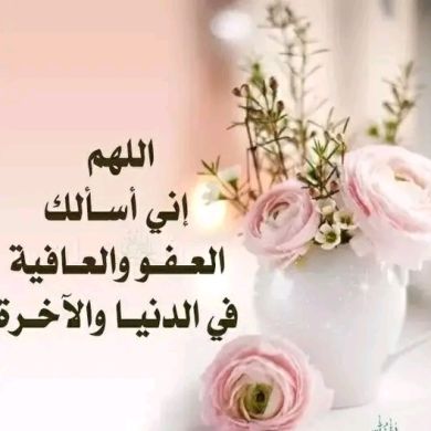 Hanan Oum Hayat Profile Picture