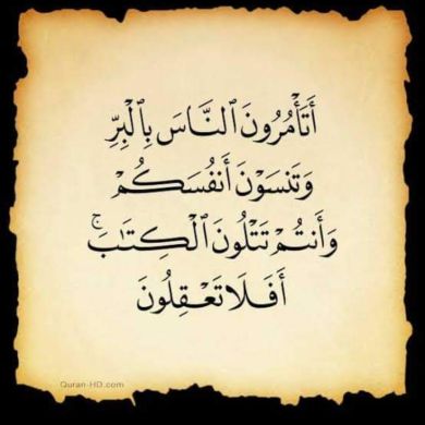 Ani Ummu Muslim Profile Picture