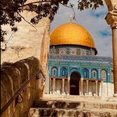 meka abdelshkur Profile Picture