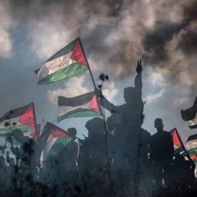 boubakr laib Profile Picture