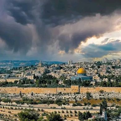 ghada Profile Picture