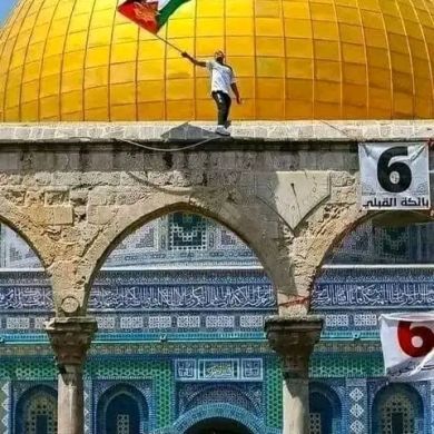 Reshad akmel Profile Picture