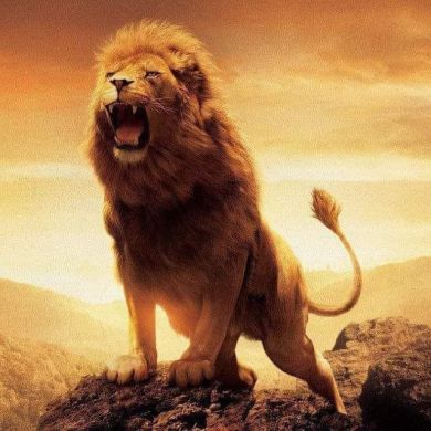 ephrem Profile Picture