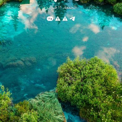 Jamal Lage Profile Picture