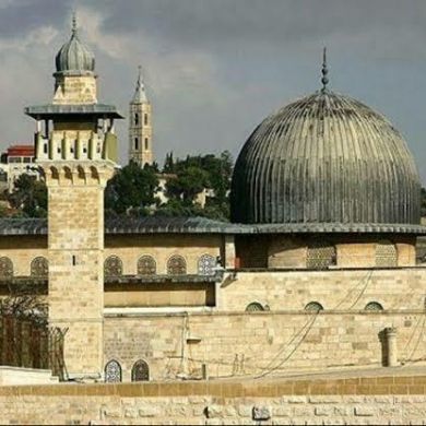 umma1698250036 Profile Picture