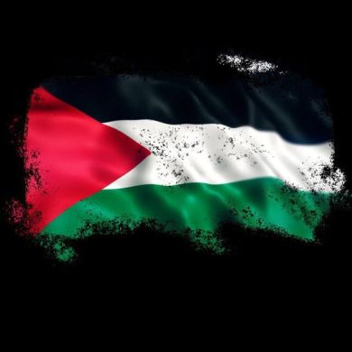 afad_zeynalov profile picture