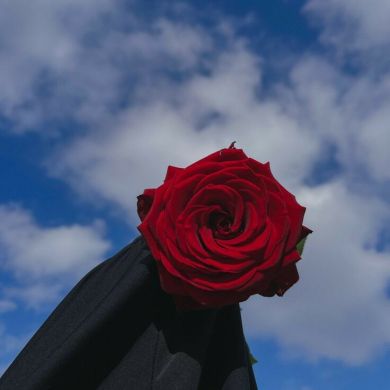 ام جويرية 0502