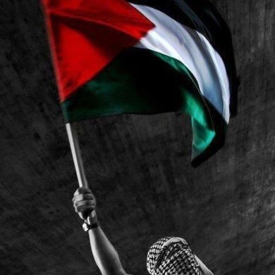 Meryem Sultan Profile Picture