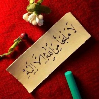 abul abas hassen ibnu ibrahim Profile Picture