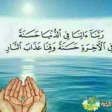 Abu Huzeyfa Seid Profile Picture