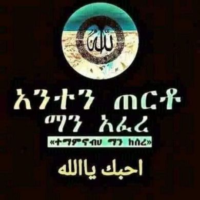 abdi muner Profile Picture