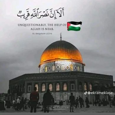 afnan didosa Profile Picture