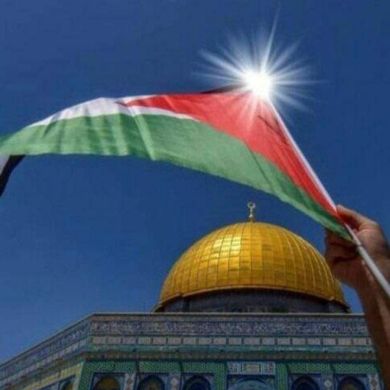 Bereka Teha Profile Picture