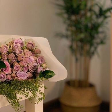 MM MM Profile Picture