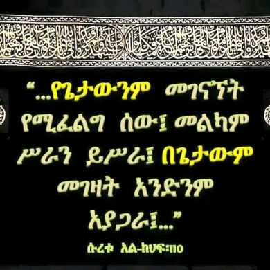 adem ali Profile Picture