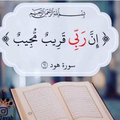 Anex Ananiya Profile Picture