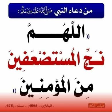 seid Ahmed Profile Picture