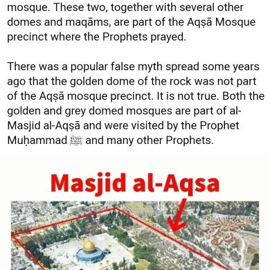 أم محمد Profile Picture