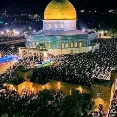 Medina Eshetu Profile Picture