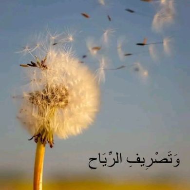 Ibnu Idris Profile Picture