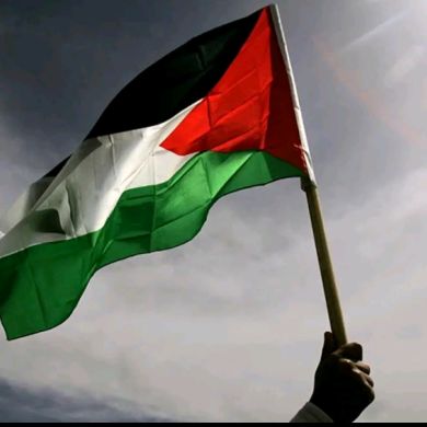 amrela nuri Profile Picture