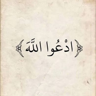 Seifedin Hussein Profile Picture