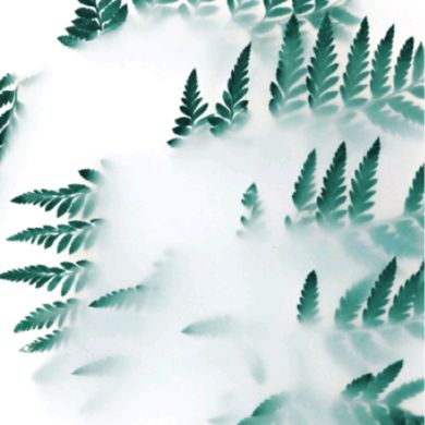 Rôfâ Âmr Profile Picture