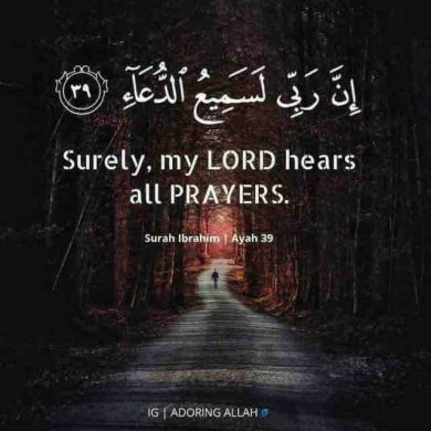 Hanan Tofik Profile Picture