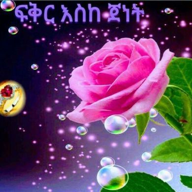 Fkr eske jenet ፍቅር እ